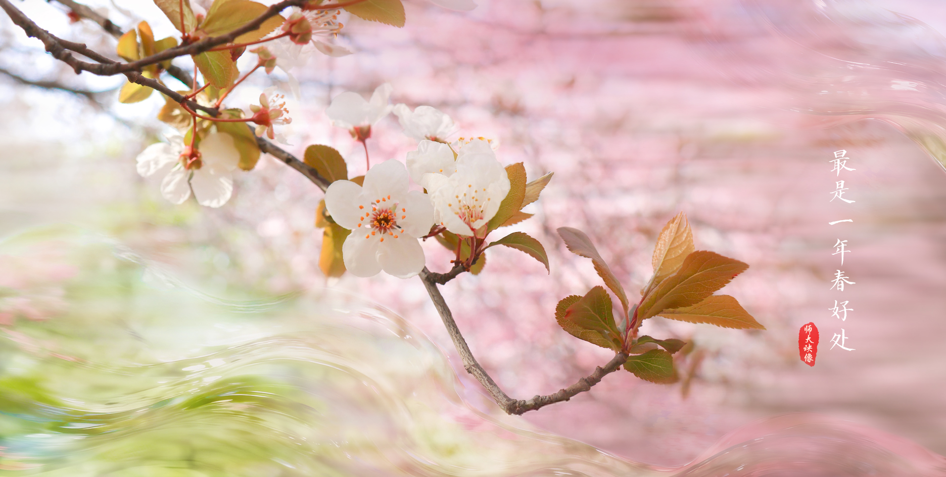 <a href='//www.wii-art.com/yjsxy/2025/0928/c23023a356867/page.htm' target='_blank' title='校园风景'>校园风景</a>
